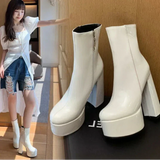 Carrie - Platform High Heel Boots